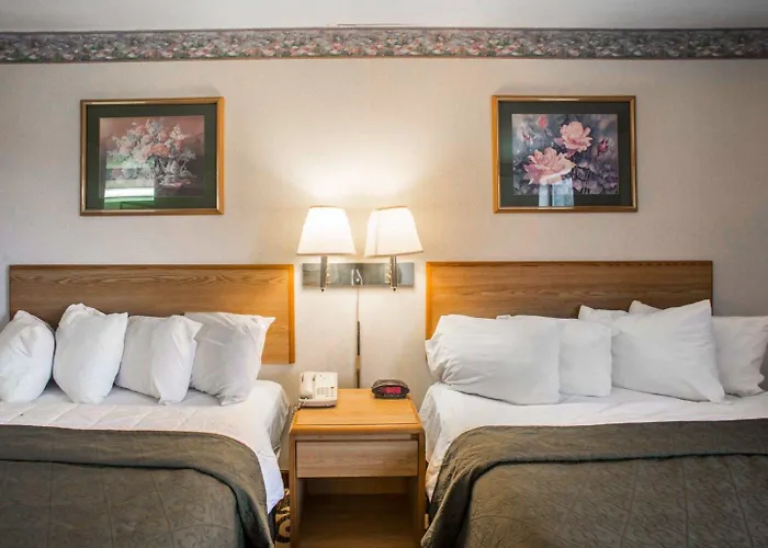 Hotel Quality & - St Louis 3*