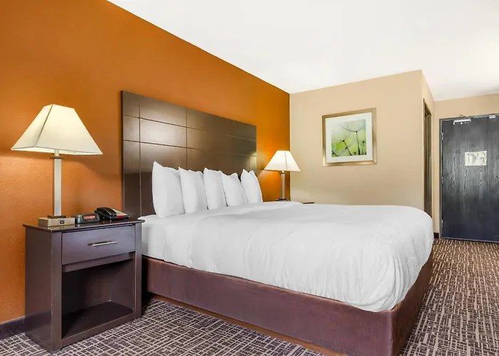 Hotel Quality & - St Louis Caseyville