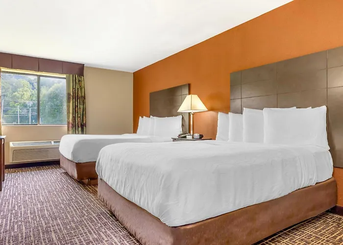 Hotel Quality & - St Louis 3*