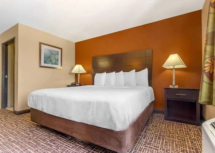 Hotel Quality & - St Louis 3*