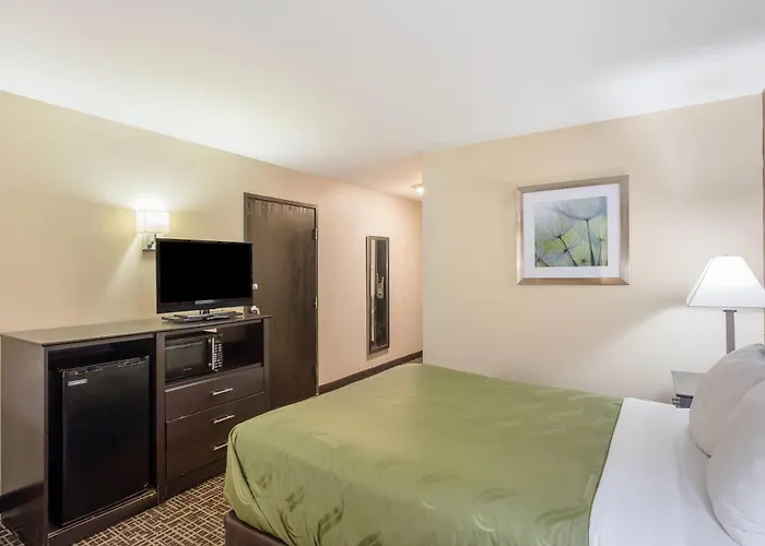 Quality & - St Louis Caseyville