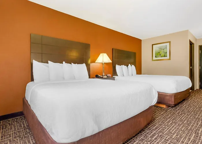 Hotel Quality & - St Louis 3*