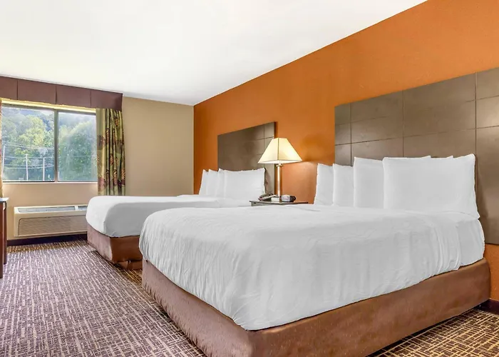 Hotel Quality & - St Louis Caseyville