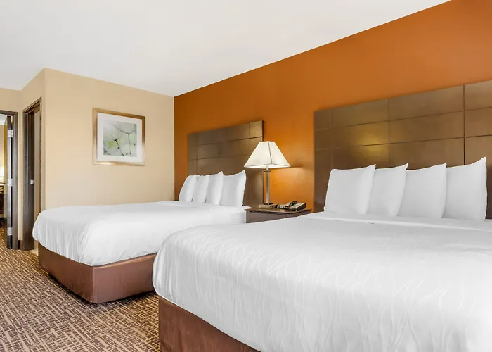 Hotel Quality & - St Louis 3*